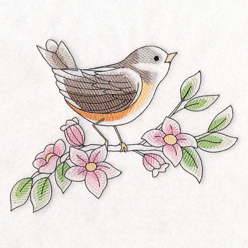 Birds & Blooms – American Robin
