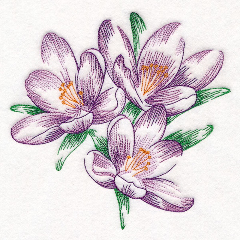 Contours of Beauty Crocus|6.74″ x 6.87″ / 171.23mm x 174.39mm|5.76″ x 5.87″ / 146.35mm x 149.05mm|5.24″ x 5.33″ / 133.05mm x 135.51mm|4.76″ x 4.85″ / 120.95mm x 123.19mm|All Sizes