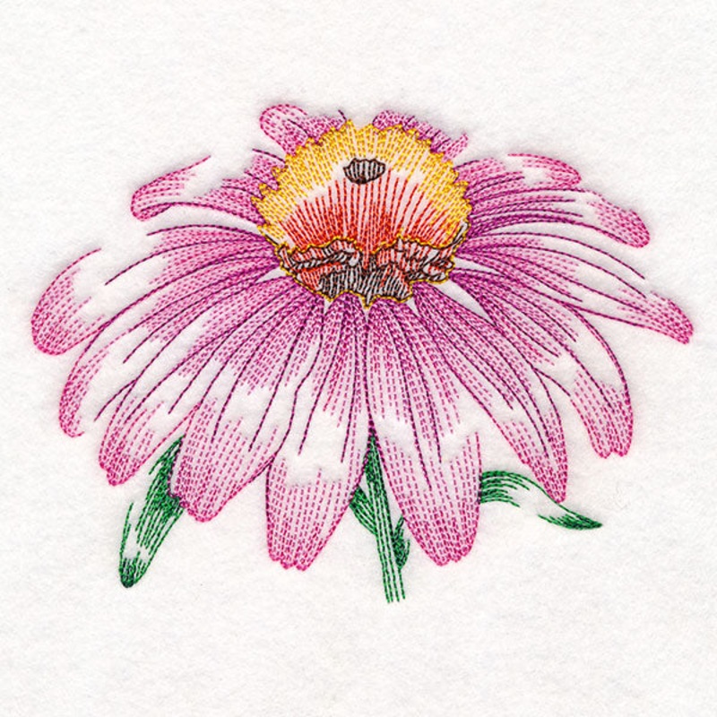 Contours of Beauty Echinacea|5.14″ x 6.87″ / 130.62mm x 174.39mm|4.39″ x 5.87″ / 111.61mm x 149.05mm|3.99″ x 5.33″ / 101.47mm x 135.51mm|3.63″ x 4.85″ / 92.22mm x 123.19mm|All Sizes