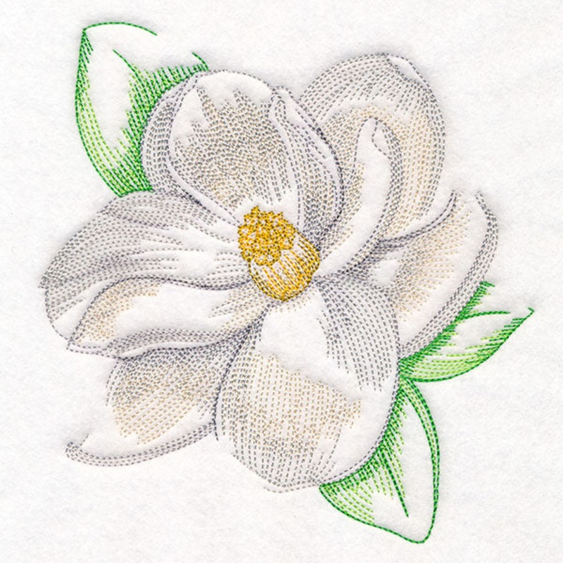 Contours of Beauty Magnolia|7.07″ x 6.87″ / 179.58mm x 174.39mm|6.04″ x 5.87″ / 153.44mm x 149.05mm|5.49″ x 5.33″ / 139.5mm x 135.51mm|4.99″ x 4.85″ / 126.78mm x 123.19mm|All Sizes