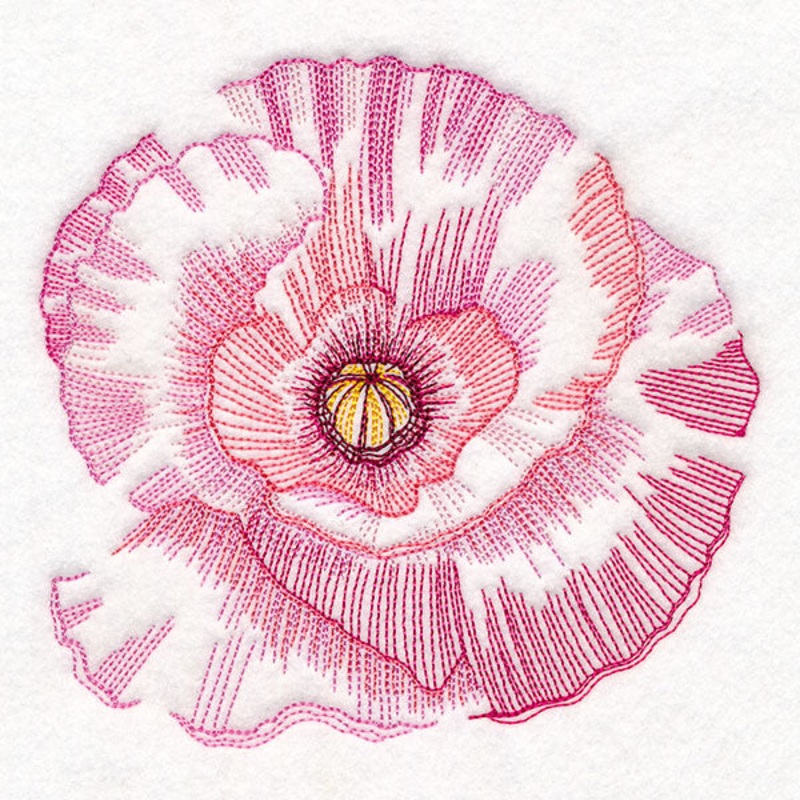 Contours of Beauty Poppy|6.56″ x 6.86″ / 166.68mm x 174.29mm|5.61″ x 5.87″ / 142.48mm x 148.98mm|5.1″ x 5.33″ / 129.51mm x 135.48mm|4.63″ x 4.84″ / 117.68mm x 123.06mm|All Sizes