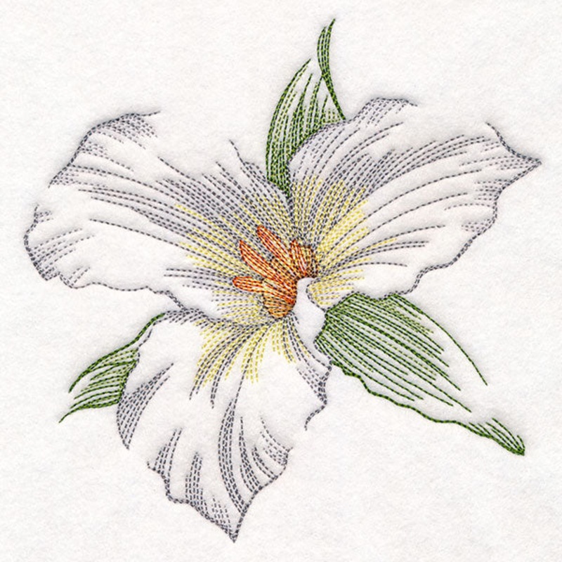 Contours of Beauty Trillium|6.87″ x 6.86″ / 174.48mm x 174.32mm|5.87″ x 5.87″ / 149.13mm x 149mm|5.34″ x 5.33″ / 135.58mm x 135.45mm|4.85″ x 4.85″ / 123.26mm x 123.15mm|All Sizes