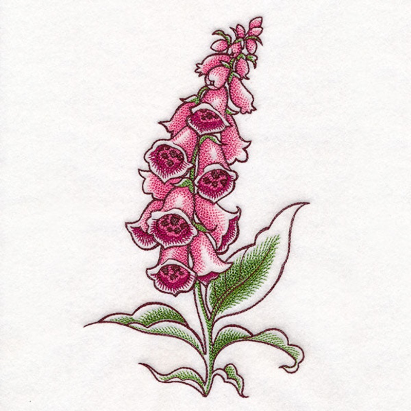 Foxglove in Bloom|9.66″ x 5.74″ / 245.48mm x 145.68mm|8.29″ x 4.92″ / 210.53mm x 124.95mm|7.54″ x 4.47″ / 191.39mm x 113.58mm|6.85″ x 4.07″ / 173.99mm x 103.26mm|All Sizes