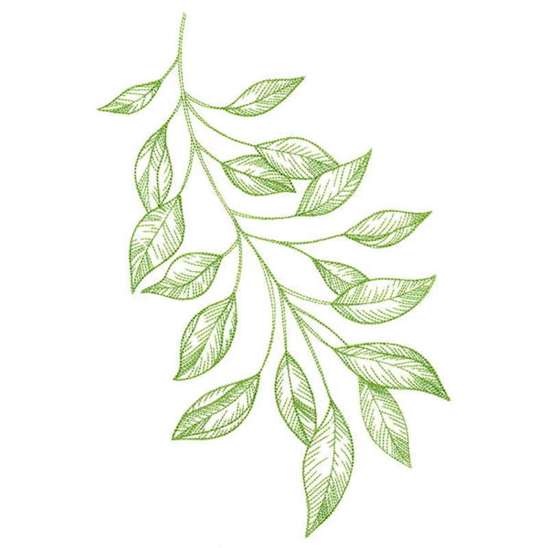 Branching Leaves Etching|11.32″ x 6.85″ / 287.53mm x 173.99mm|9.4″ x 5.69″ / 238.69mm x 144.44mm|7.8″ x 4.72″ / 198mm x 119.85mm|6.85″ x 4.14″ / 173.89mm x 105.26mm|All Sizes