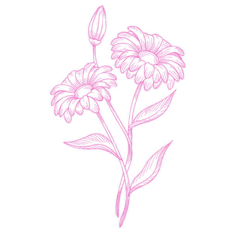 Budding Daisies Etching|11.15″ x 6.85″ / 283.33mm x 173.98mm|9.4″ x 5.77″ / 238.76mm x 146.62mm|7.8″ x 4.79″ / 198.12mm x 121.66mm|6.84″ x 4.2″ / 173.74mm x 106.68mm|All Sizes
