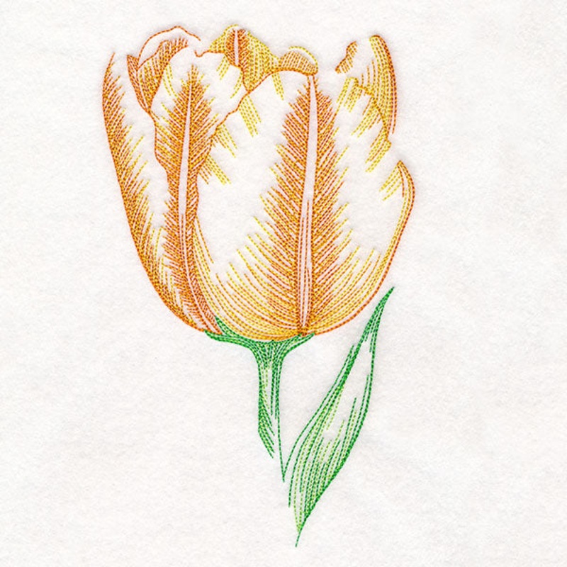 Contours of Beauty Tulip|9.57″ x 5.83″ / 243.15mm x 148.15mm|8.18″ x 4.98″ / 207.82mm x 126.59mm|7.44″ x 4.53″ / 188.93mm x 115.1mm|6.76″ x 4.12″ / 171.75mm x 104.61mm|All Sizes