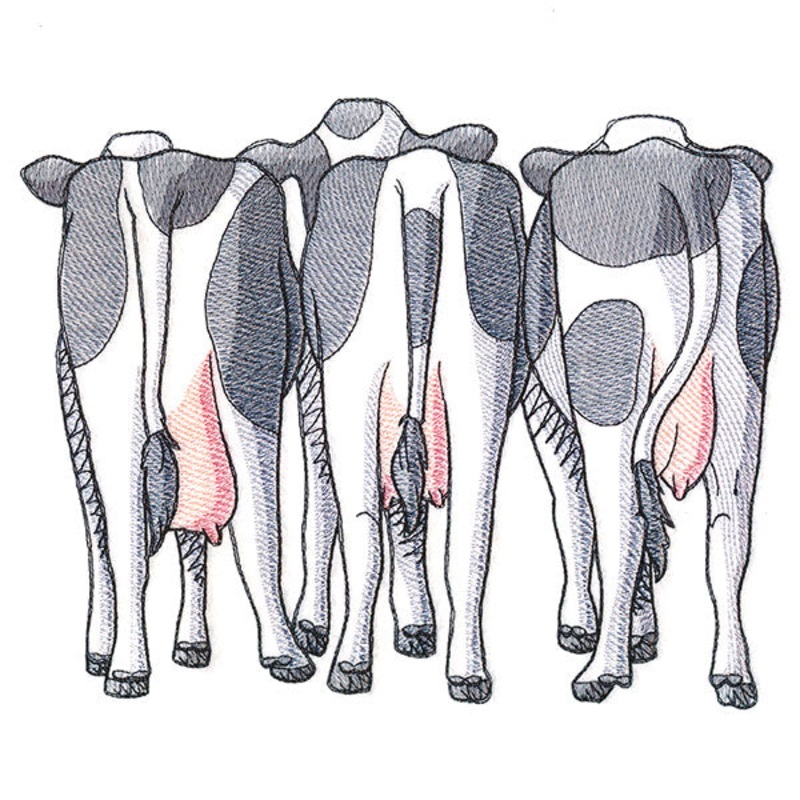 Cow Trio – Back|6.85″ x 8.4″ / 173.99mm x 213.36mm|5.85″ x 7.18″ / 148.64mm x 182.35mm|4.85″ x 5.95″ / 123.11mm x 151.01mm|All Sizes