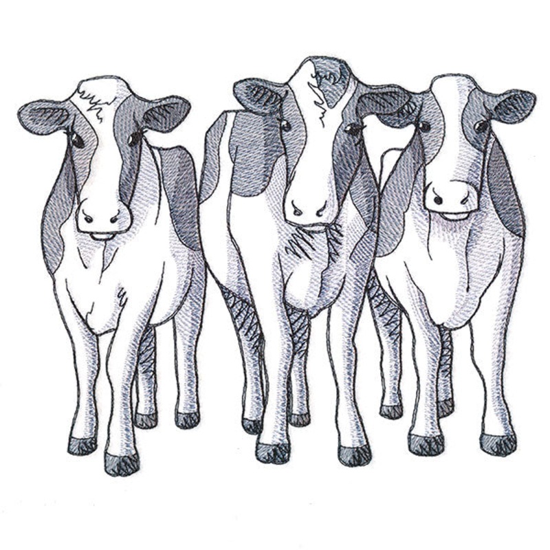 Cow Trio – Front|6.84″ x 8.51″ / 173.74mm x 216.15mm|5.85″ x 7.27″ / 148.53mm x 184.69mm|4.84″ x 6.02″ / 123.02mm x 152.91mm|All Sizes