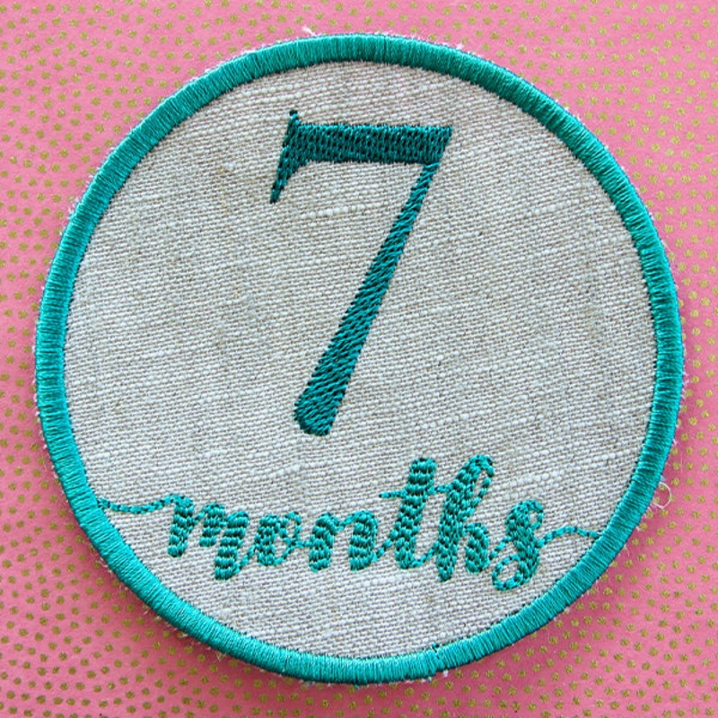 First Year Milestone Marker – Seven Months (In-the-Hoop)