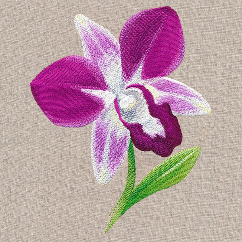 Sweet Purple Orchid|8.72″ x 6.89″ / 221.49mm x 175.01mm|7.41″ x 5.85″ / 188.12mm x 148.66mm|6.15″ x 4.86″ / 156.17mm x 123.42mm|All Sizes