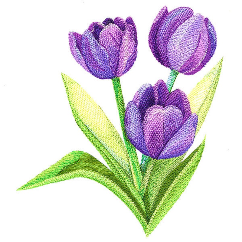 Sweet Tulips in Watercolor|7.69″ x 6.85″ / 195.33mm x 173.99mm|6.5″ x 5.8″ / 165.2mm x 147.4mm|5.42″ x 4.83″ / 137.57mm x 122.64mm|All Sizes