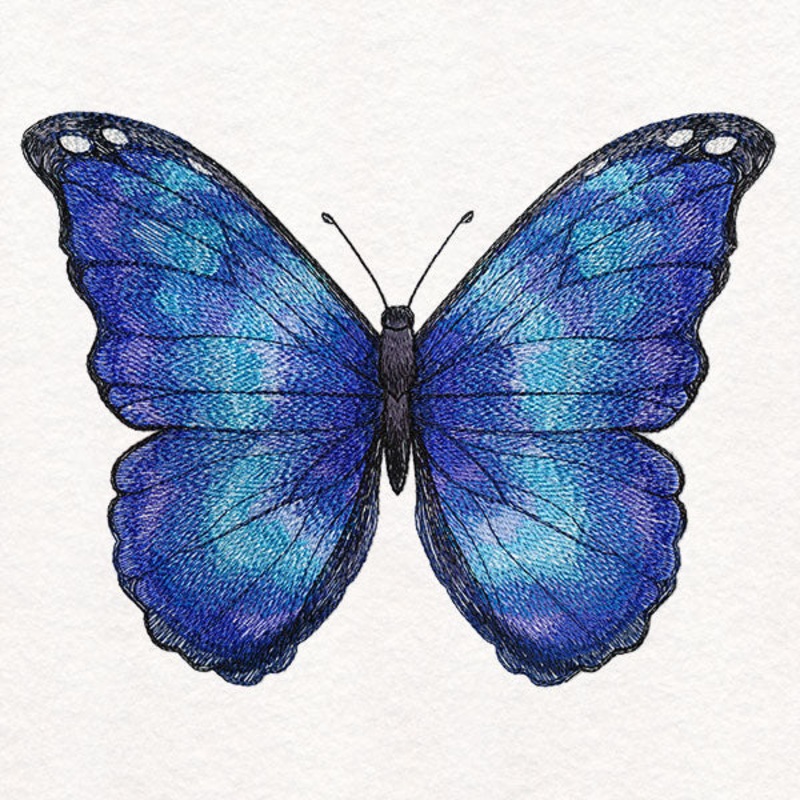 Textured & Lovely Blue Morpho Butterfly