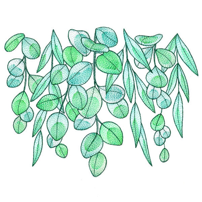 Fresh Draping Eucalyptus|6.85″ x 8.81″ / 173.99mm x 223.77mm|5.85″ x 7.52″ / 148.53mm x 190.98mm|4.85″ x 6.23″ / 123.15mm x 158.34mm|All Sizes