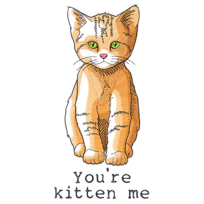 You’re Kitten Me|11″ x 5.39″ / 279.4mm x 136.91mm|9.4″ x 4.6″ / 238.75mm x 116.93mm|7.8″ x 3.82″ / 198.07mm x 97.03mm|6.85″ x 3.36″ / 173.96mm x 85.24mm|All Sizes