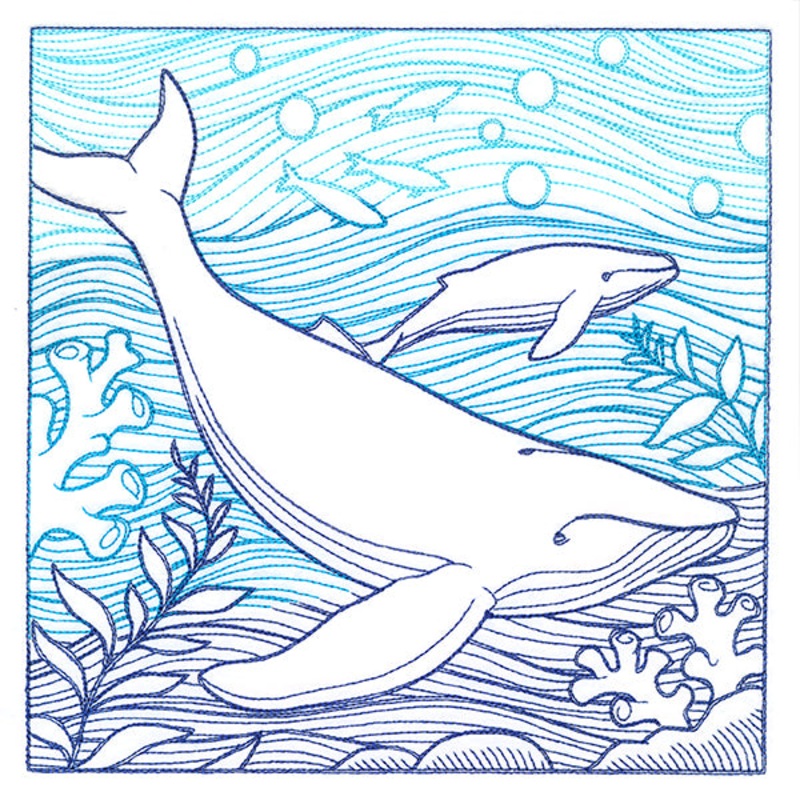 By The Seashore – Whale Etching