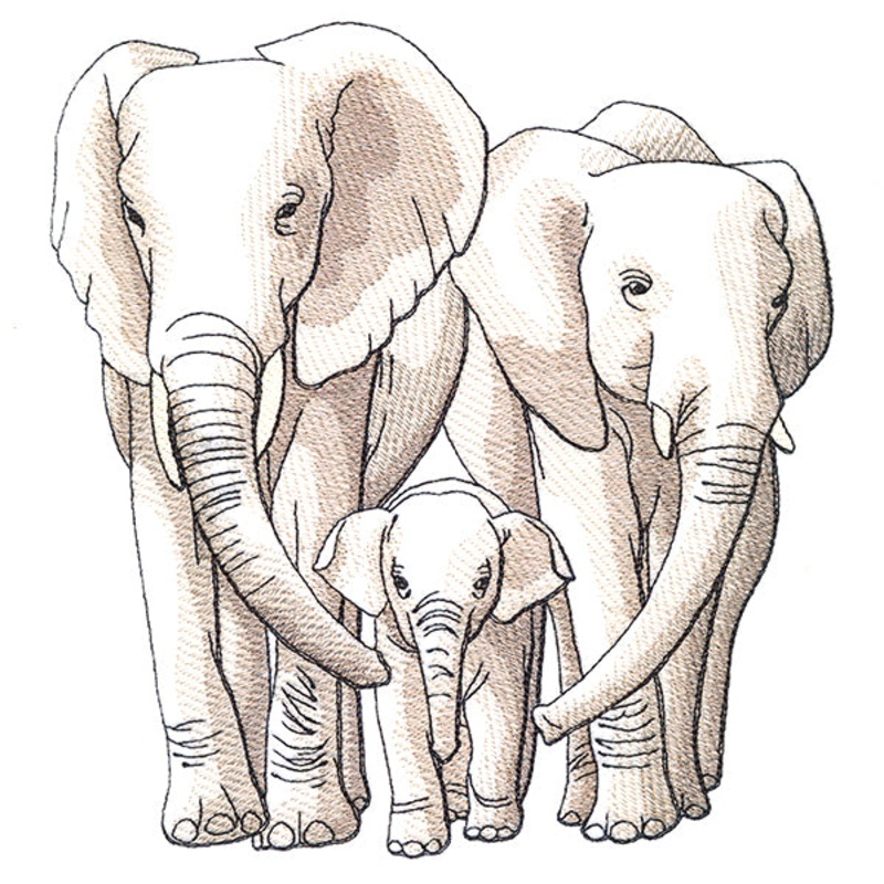 Cherished Moments – Elephant Family