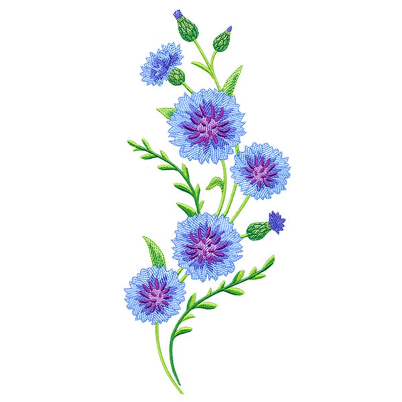 Classic Cornflower Spray|11.75″ x 5.16″ / 298.51mm x 131.13mm|9.4″ x 4.13″ / 238.82mm x 104.92mm|7.8″ x 3.43″ / 198.01mm x 87.07mm|6.85″ x 3.01″ / 174.04mm x 76.53mm|All Sizes