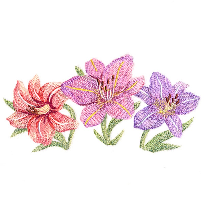 Daylilies in Watercolor|3.44″ x 6.85″ / 87.38mm x 173.99mm|5.9″ x 11.74″ / 149.86mm x 298.2mm|4.72″ x 9.4″ / 119.89mm x 238.76mm|3.92″ x 7.8″ / 99.57mm x 198.12mm|All Sizes