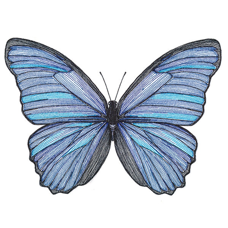 Vibrant Blue Morpho Etching|6.85″ x 9.45″ / 173.94mm x 239.93mm|5.65″ x 7.8″ / 143.59mm x 198.08mm|4.84″ x 6.68″ / 123.06mm x 169.79mm|All Sizes