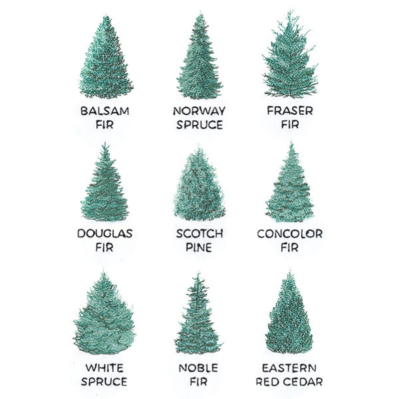 Christmas Tree Chart|10.34″ x 6.88″ / 262.64mm x 174.73mm|8.79″ x 5.85″ / 223.32mm x 148.54mm|7.78″ x 5.18″ / 197.61mm x 131.45mm|6.85″ x 4.56″ / 173.99mm x 115.76mm|All Sizes