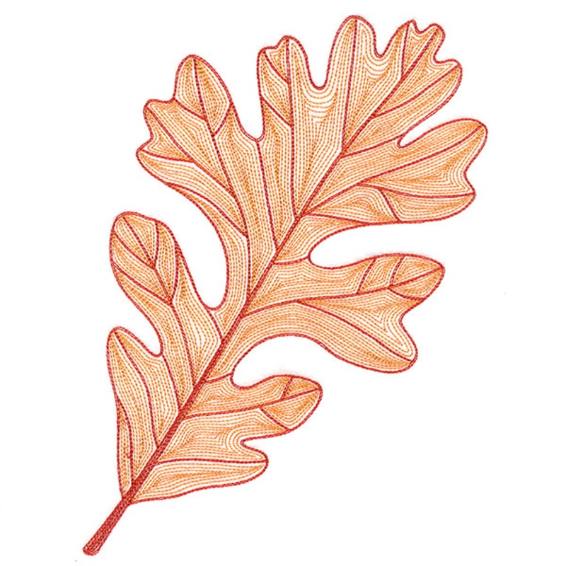 Fall into Autumn – Oak Leaf|8.86″ x 6.85″ / 225.1mm x 173.95mm|7.57″ x 5.85″ / 192.25mm x 148.55mm|6.27″ x 4.84″ / 159.16mm x 123.02mm|All Sizes