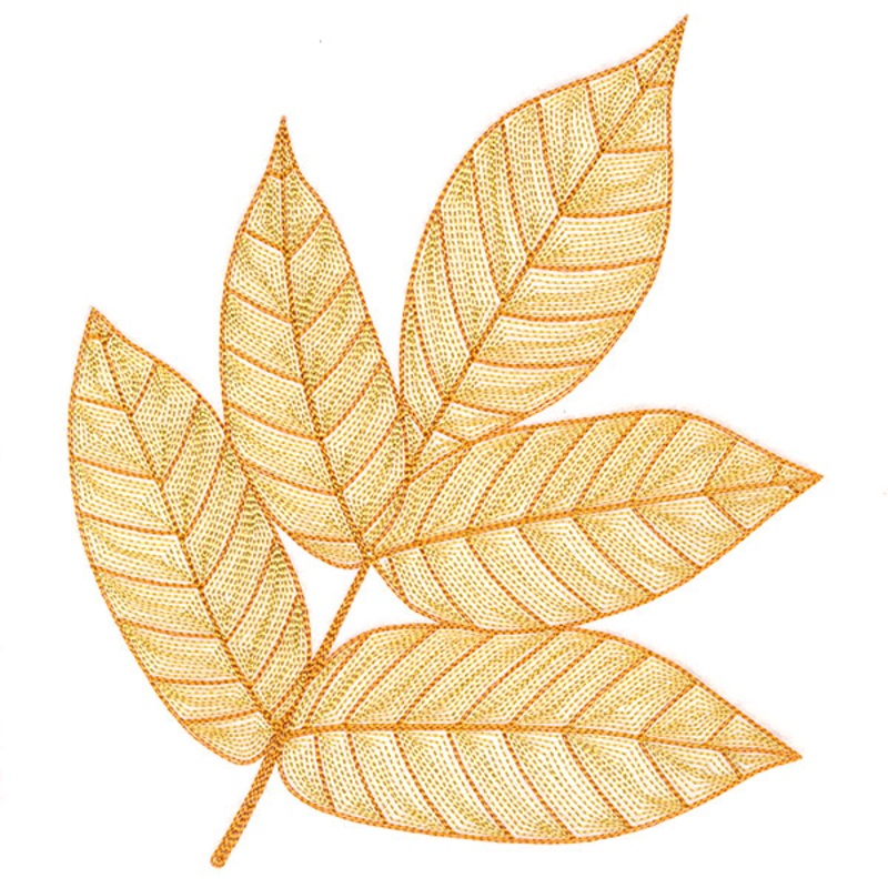 Fall into Autumn – Walnut Leaf