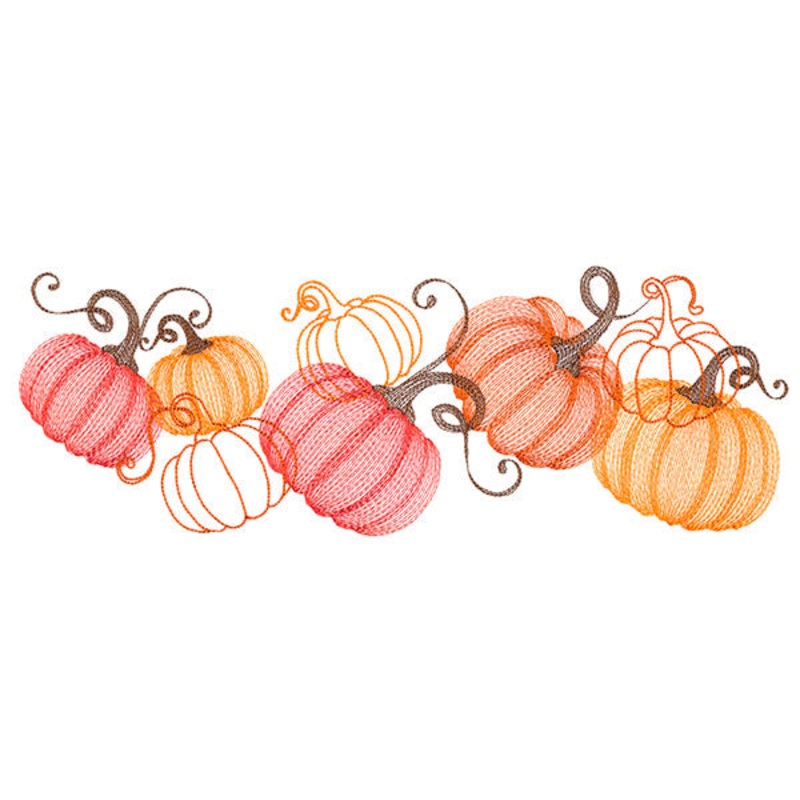 Festive Harvest Pumpkin Border