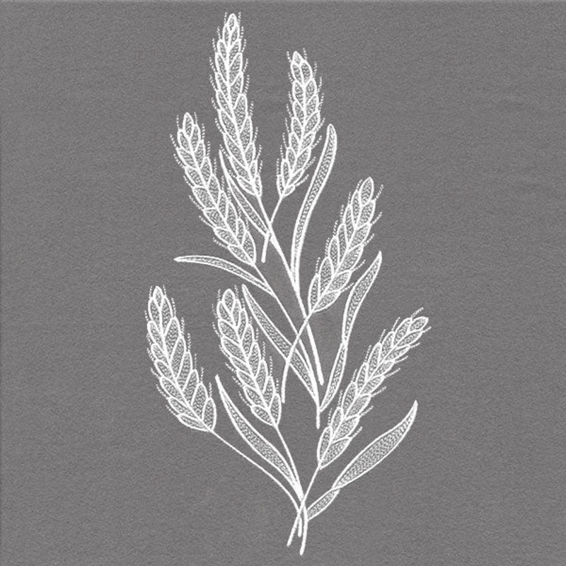 Blissful Wheat Feature|11.75″ x 6.18″ / 298.48mm x 157.04mm|9.4″ x 4.95″ / 238.79mm x 125.63mm|7.8″ x 4.1″ / 198.15mm x 104.25mm|6.85″ x 3.61″ / 174.09mm x 91.59mm|All Sizes