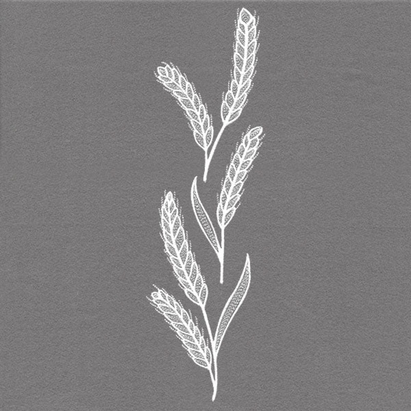 Blissful Wheat Tall Border|11.76″ x 3.57″ / 298.68mm x 90.69mm|9.41″ x 2.86″ / 238.99mm x 72.56mm|7.81″ x 2.37″ / 198.36mm x 60.21mm|6.86″ x 2.08″ / 174.27mm x 52.89mm|All Sizes