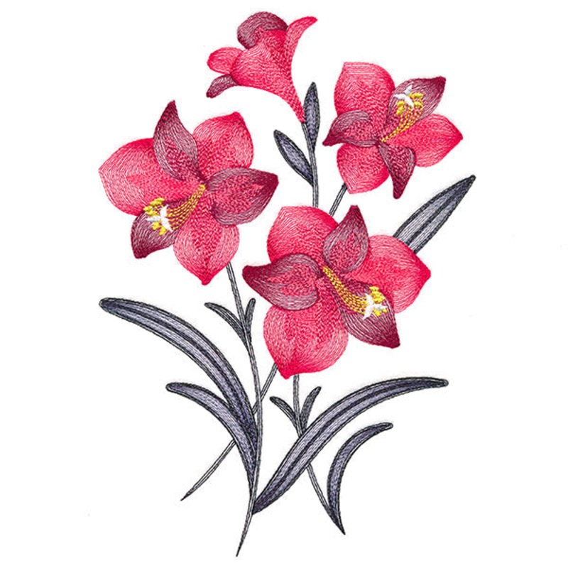 Festive Flourishing Bouquet – Amaryllis