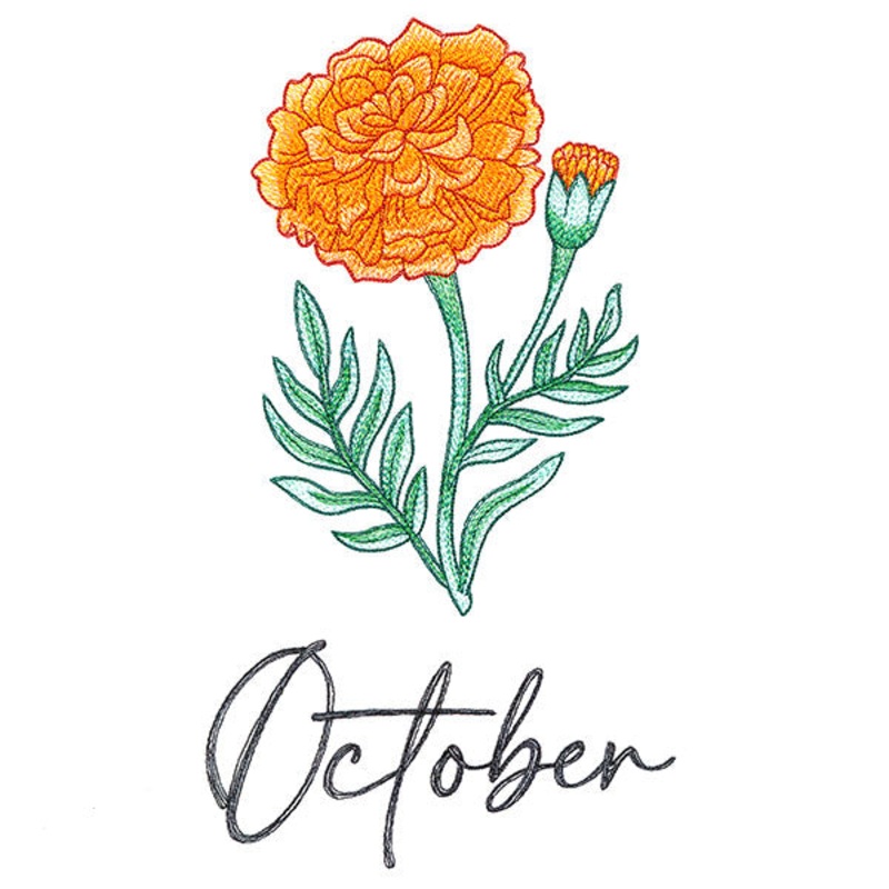 Flower of the Year – October|9.61″ x 5.32″ / 244.07mm x 135.03mm|8.21″ x 4.54″ / 208.61mm x 115.41mm|7.26″ x 4.02″ / 184.44mm x 102.04mm|6.41″ x 3.55″ / 162.87mm x 90.11mm|All Sizes