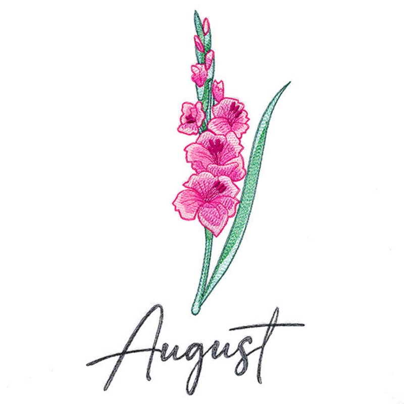 Flowers of the Year – August|10.32″ x 5.96″ / 262.09mm x 151.34mm|8.82″ x 5.09″ / 224.01mm x 129.35mm|7.8″ x 4.5″ / 198.06mm x 114.37mm|6.89″ x 3.98″ / 174.89mm x 100.99mm|All Sizes