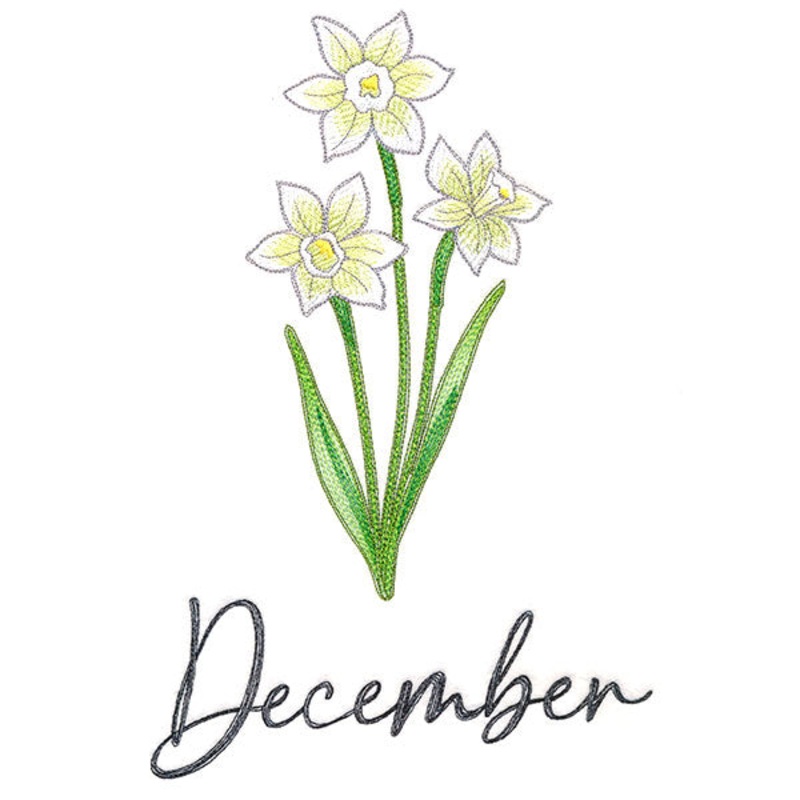 Flowers of the Year – December