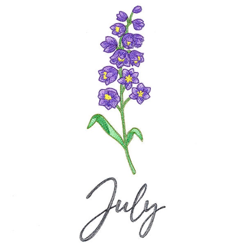 Flowers of the Year – July|10.29″ x 3.75″ / 261.32mm x 95.13mm|8.79″ x 3.2″ / 223.34mm x 81.29mm|7.76″ x 2.83″ / 197.22mm x 71.8mm|6.86″ x 2.49″ / 174.15mm x 63.37mm|All Sizes