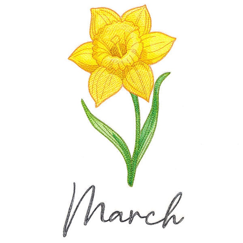 Flowers of the Year – March|10.28″ x 5.31″ / 261.1mm x 134.97mm|8.78″ x 4.54″ / 223.12mm x 115.32mm|7.76″ x 4.01″ / 197.02mm x 101.81mm|6.85″ x 3.54″ / 173.97mm x 89.9mm|All Sizes