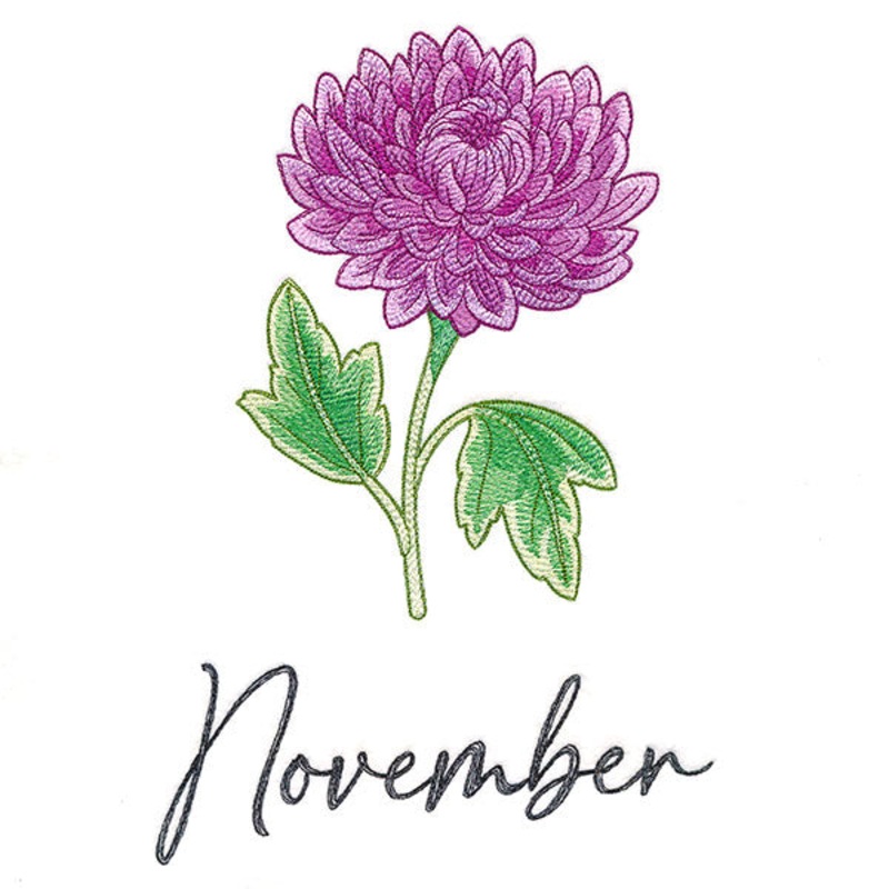 Flowers of the Year – November
