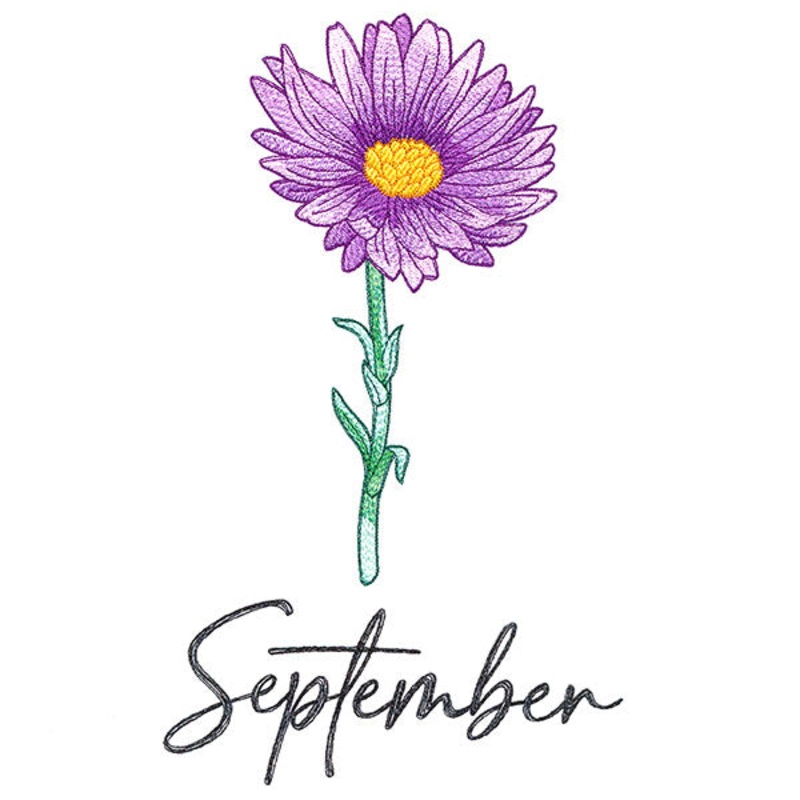 Flowers of the Year – September