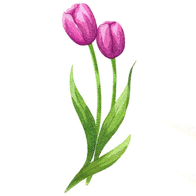 Beautiful Tulips|11.75″ x 4.69″ / 298.4mm x 119.16mm|9.4″ x 3.75″ / 238.81mm x 95.34mm|7.8″ x 3.12″ / 198.21mm x 79.13mm|6.86″ x 2.75″ / 174.21mm x 69.87mm|All Sizes