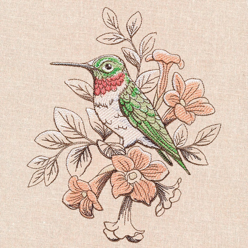 Birds and Blooms – Hummingbird