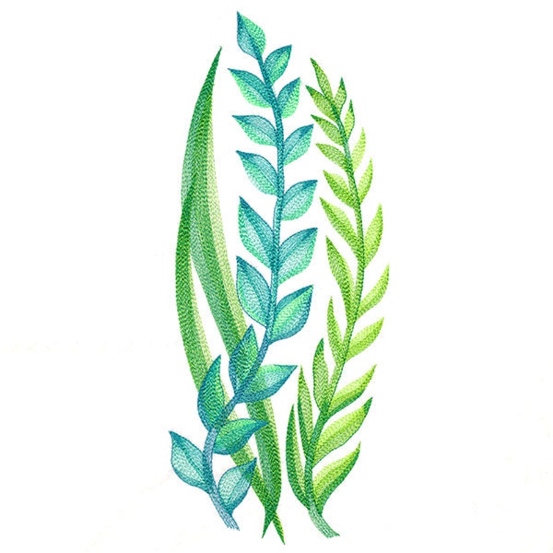 Lovely Ferns and Botanicals|11.75″ x 4.84″ / 298.52mm x 122.88mm|9.4″ x 3.87″ / 238.76mm x 98.31mm|7.8″ x 3.21″ / 198.12mm x 81.57mm|6.85″ x 2.82″ / 173.99mm x 71.63mm|All Sizes