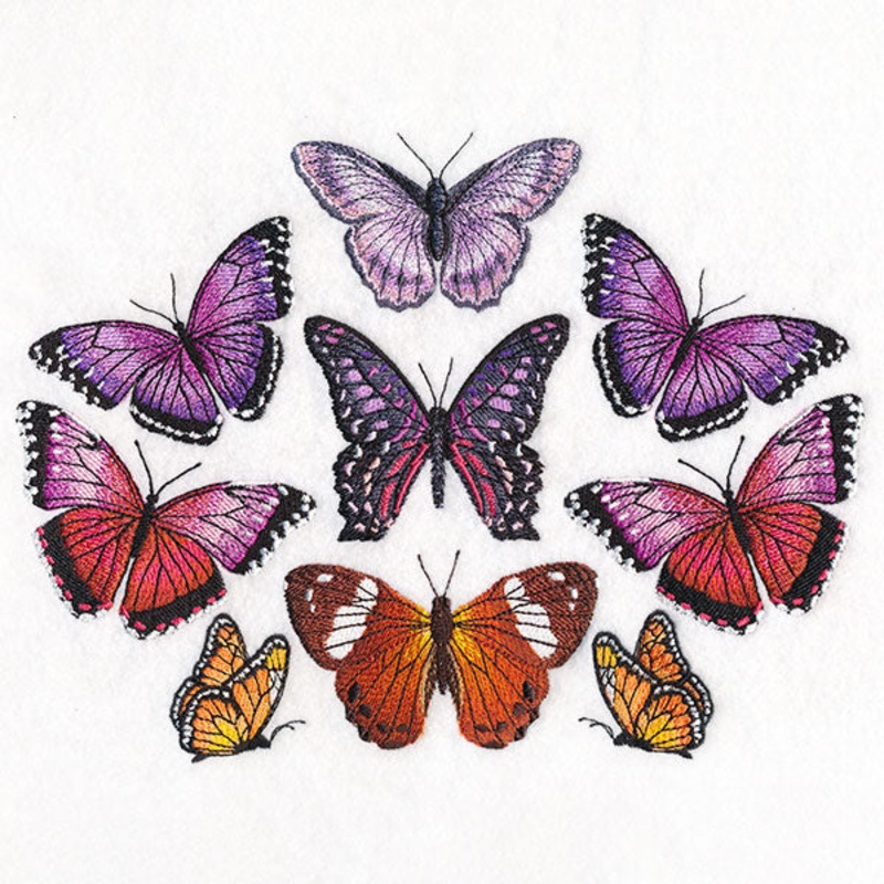 Butterflies of the Forest Kaleidoscope