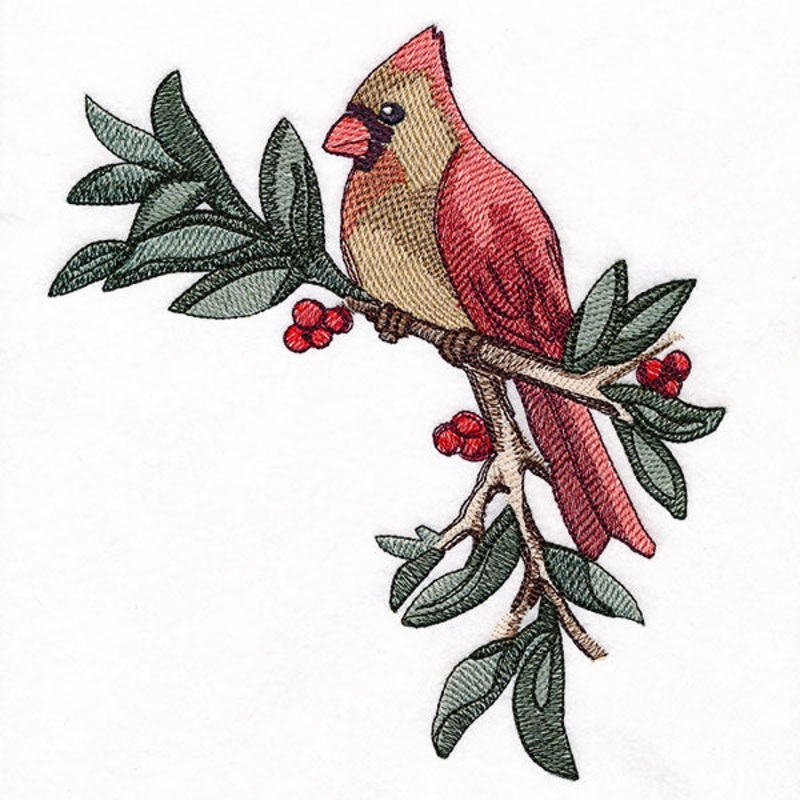 Cardinal at Christmas – Female