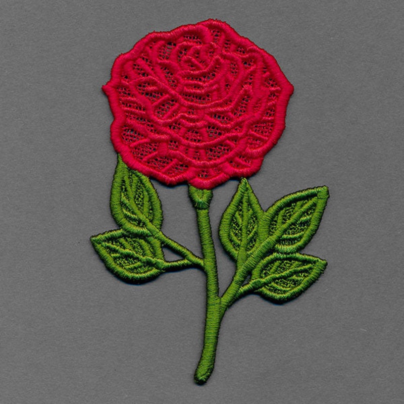 Flowers of the Year – June Rose (Lace)