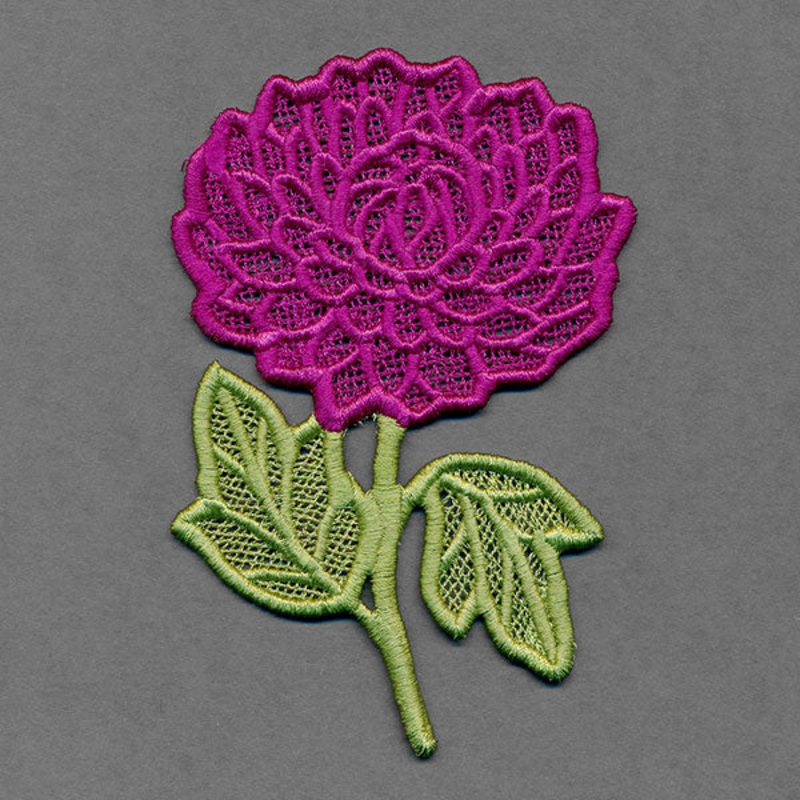 Flowers of the Year – November Chrysanthemum (Lace)