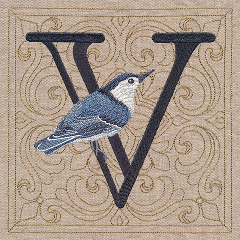 For the Love of Birds Square – Letter V & Nuthatch
