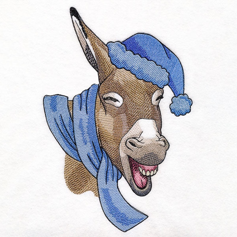 Bundled Up for Winter – Donkey