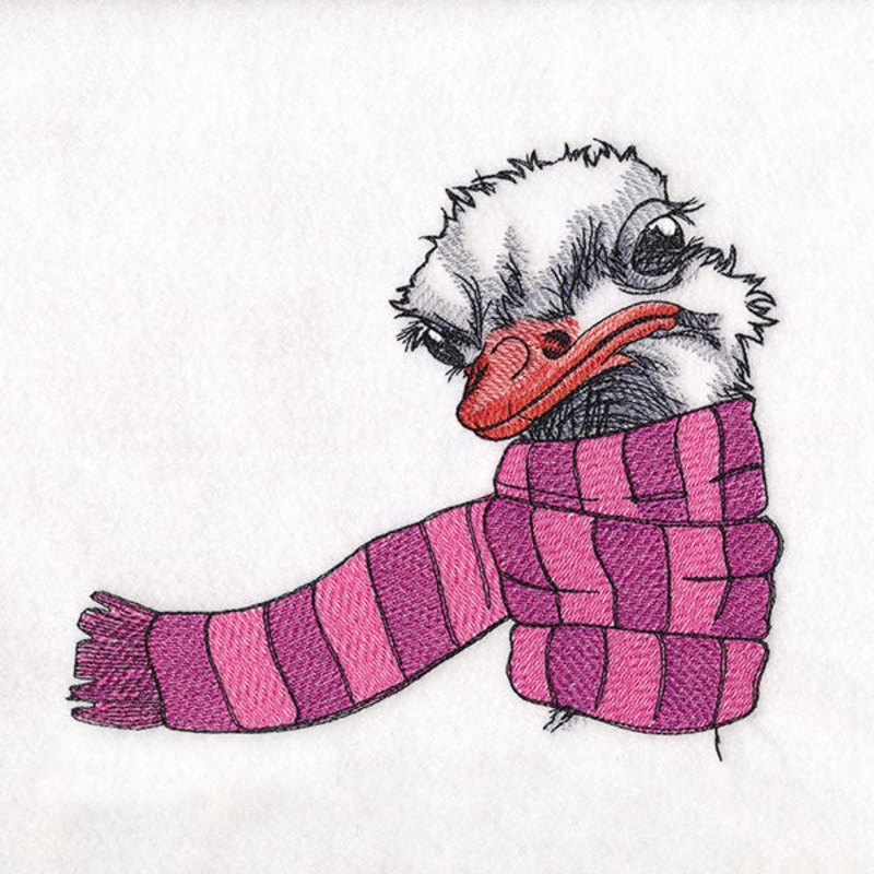 Bundled Up for Winter – Ostrich
