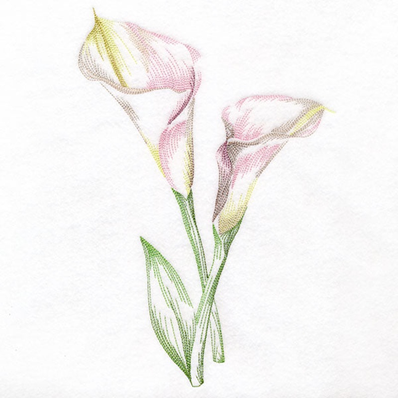 Contours of Beauty Calla Lily|10.14″ x 6.85″ / 257.5mm x 173.95mm|8.66″ x 5.85″ / 219.92mm x 148.57mm|7.8″ x 5.27″ / 198.11mm x 133.83mm|6.85″ x 4.63″ / 173.98mm x 117.51mm|All Sizes