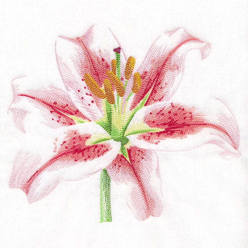 Contours of Beauty Lily|6.51″ x 7.8″ / 165.42mm x 198.08mm|5.85″ x 7.01″ / 148.59mm x 177.93mm|4.85″ x 5.81″ / 123.19mm x 147.51mm|All Sizes