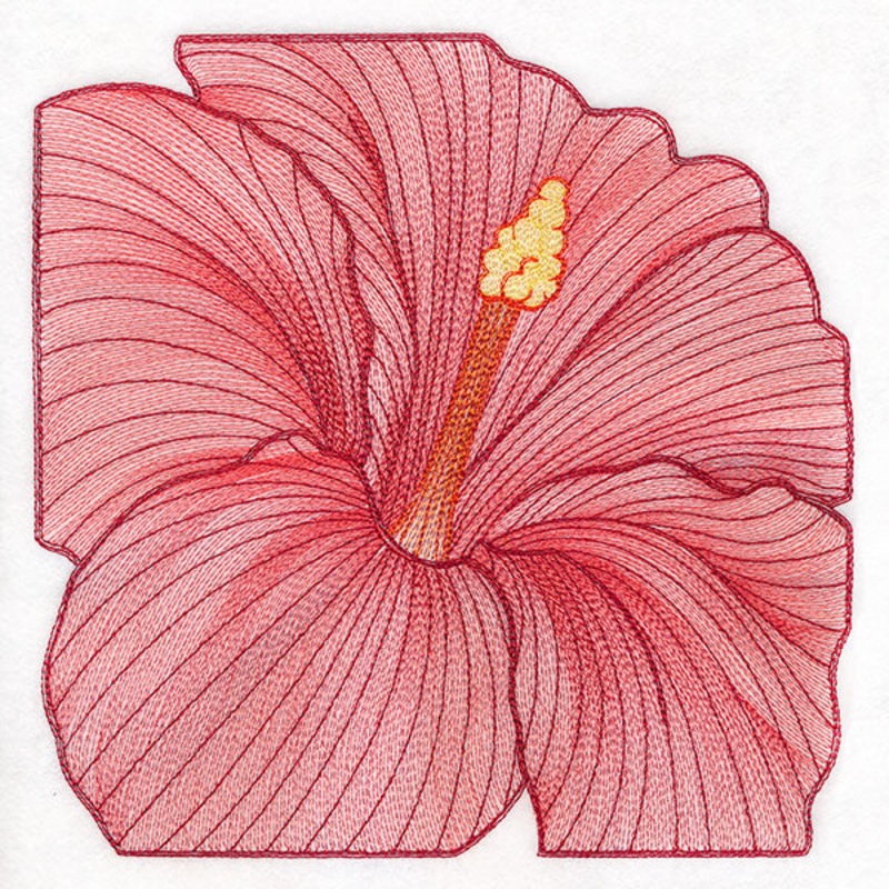 Creative Contour Macro Hibiscus